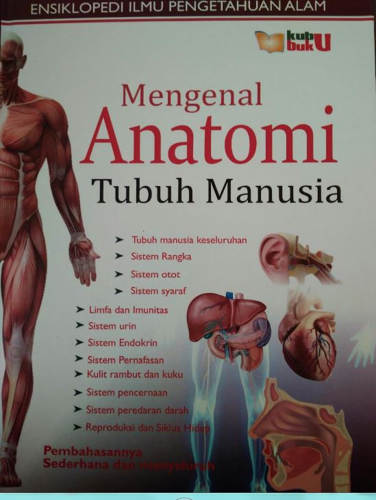 Ensiklopedi IPA : mengenal anatomi manusia