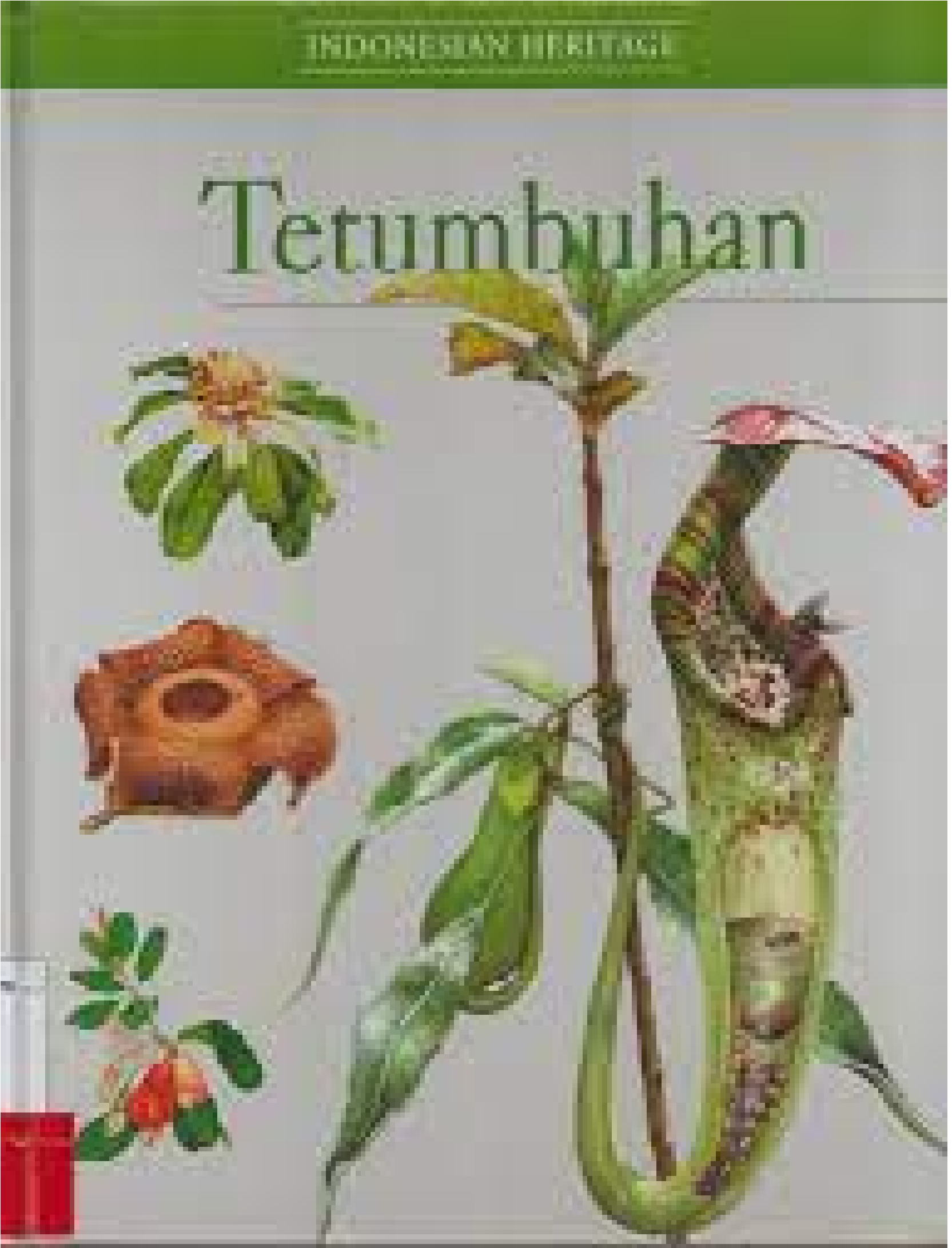 Tetumbuhan