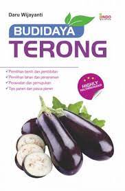 Budidaya Terong
