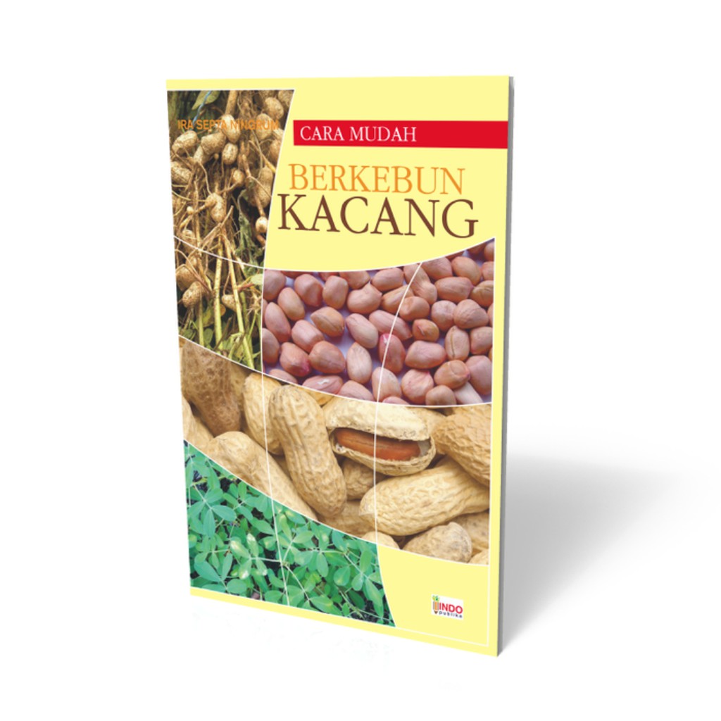 Cara Mudah Berkebun Kacang