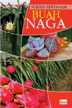 Sukses Bertanam Buah Naga