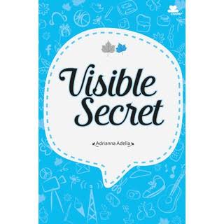 Visible Secret