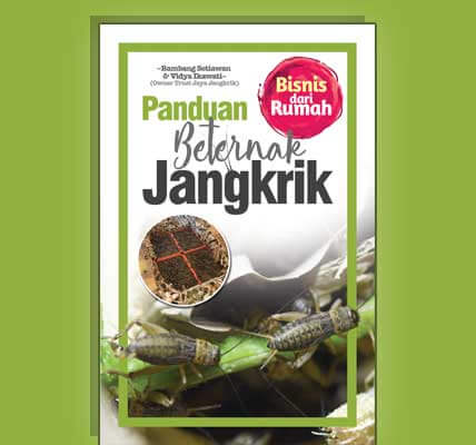 Panduan beternak jangkrik