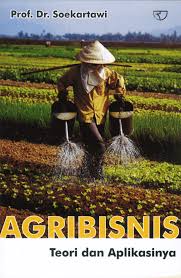 Agribisnis :  Teori dan Aplikasinya / Soekartawi