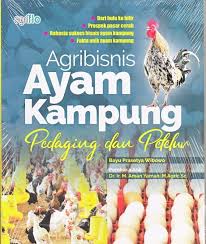 Agribisnis Ayam Kampung :  Pedaging dan Petelur