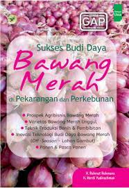 Sukses budi daya bawang merah di pekarangan dan perkebunan