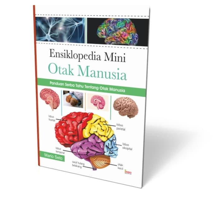 Ensiklopedia mini otak manusia : panduan serba tahu tentang otak manusia
