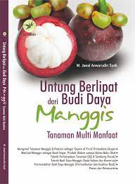 Untung berlipat dari budi daya manggis tanaman multi manfaat