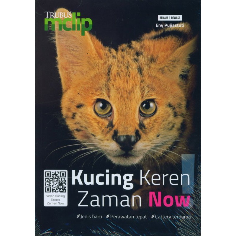 Kucing keren zaman now
