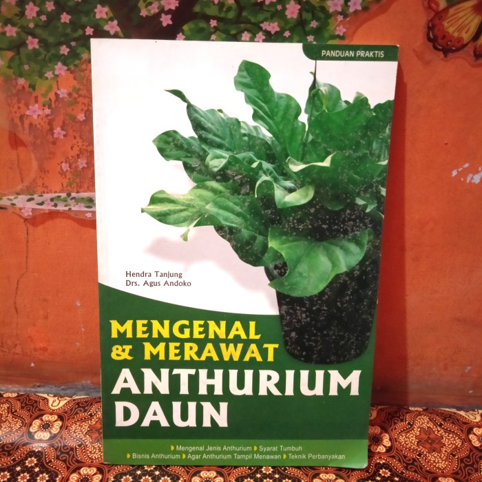 Mengenal & Merawat Anthurium Daun