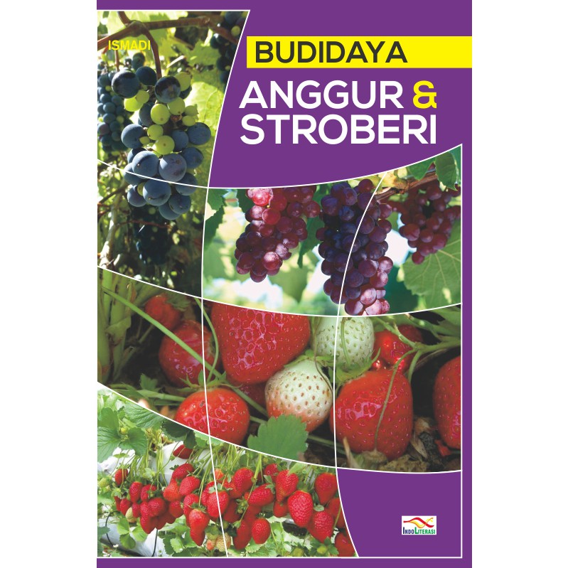 Budidaya Anggur & Stroberi / Ismadi