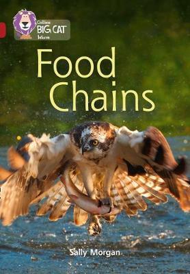 Food Chains.