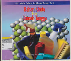 Seri Kimia dalam Kehidupan Sehari-hari : bahan kimia dalam rumah tangga