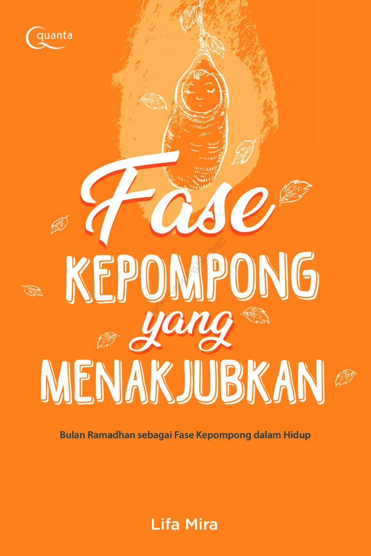 Fase Kepompong yang Menakjubkan