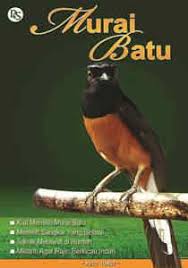 Murai Batu