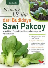 Peluang Usaha dari Budidaya Sawi Pakcoy : Mulai Dari Pembibitan Hingga Penanganan Pascapanen