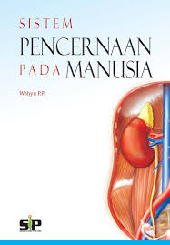 Sistem Pencernaan Pada Manusia / Wahyu P.P