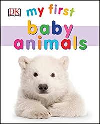 My first baby animals