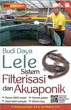Budidaya lele sistem filterisasi akuaponik