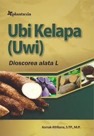Ubi Kelapa ( Uwi ) Dioscorea alata L