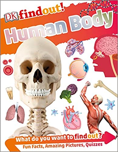 DKfindout! : Human Body