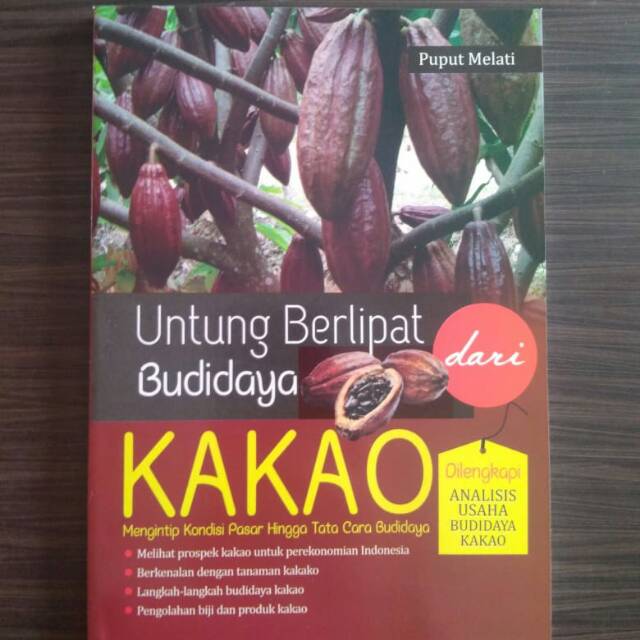 Untung Berlipat dari Budidaya Kakao : mengintip kondisi pasar hingga tata cara budidaya