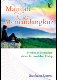 Maukah kau memandangku? : menikmati keindahan dalam permasalahan hidup