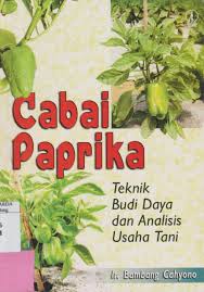 Cabai Paprika : teknik budi daya dan analisis usaha tani