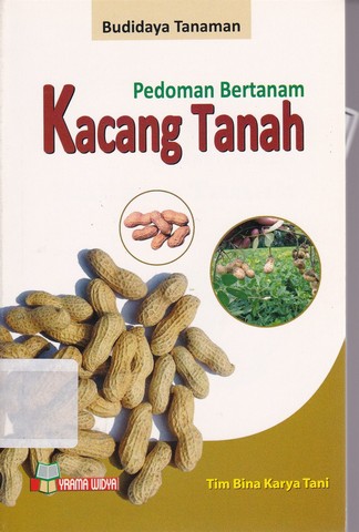 Pedoman Bertanam Kacang Tanah