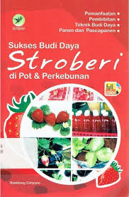 Sukses Budi Daya Stroberi di Pot dan Perkebunan / Bambang Cahyono; Editor. Westriningsih
