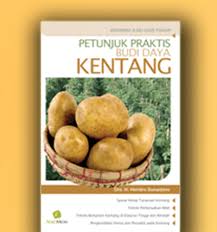Petunjuk Praktis Budi Daya Kentang