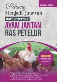 Peluang menjadi Jutawan dari Beternak Ayam Jantan Ras Petelur
