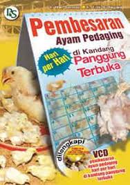 Pembesaran Ayam Pedaging Hari per Hari di Kandang Panggung Terbuka