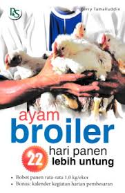Ayam Broiler, 22 Hari Panen Lebih Untung