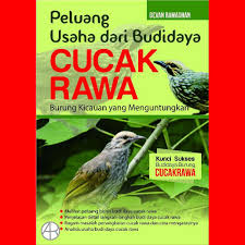 Peluang Usaha dari Budidaya Cucak Rawa : burung kicauan yang menguntungkan