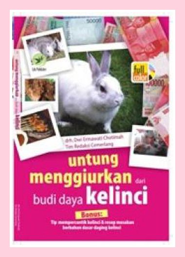 Untung Menggiurkan dari Budi Daya Kelinci