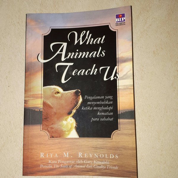 What Animals Teach Us : Pengalaman yang Menyembuhkan Ketika Menghadapi Kematian Para Sahabat