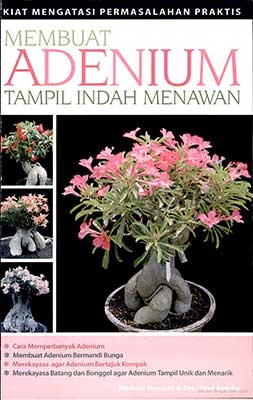 Membuat Adenium Tampil Indah Menawan