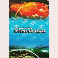 Cara Mudah Budidaya Lobster Air Tawar