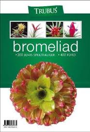 Bromeliad : 200 jenis spektakuler, 400 foto