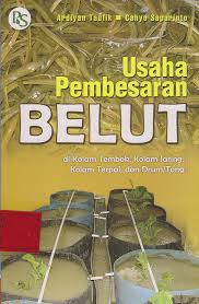 Usaha Pembesaran Belut : di kolam tembok, kolam jaring, kolam terpal, dan drum/tong