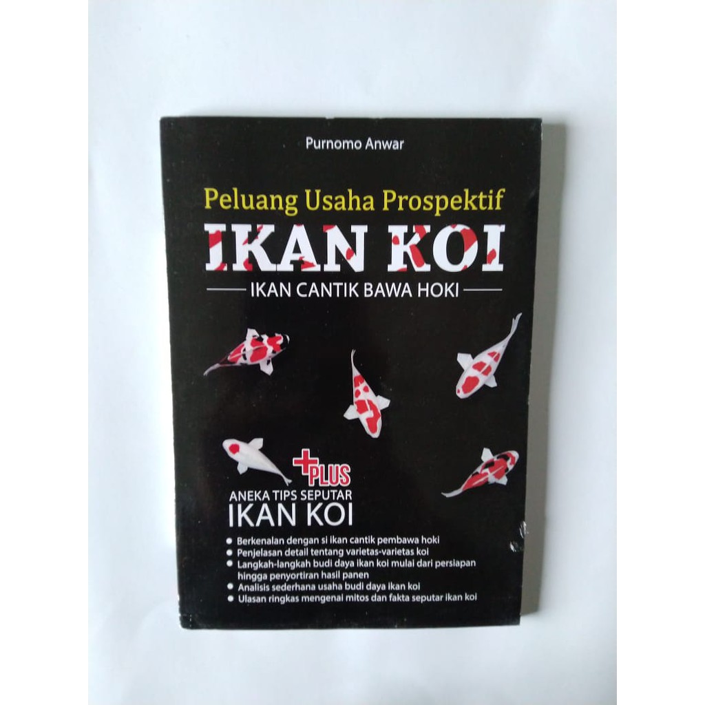 Peluang Usaha Prospektif Ikan Koi : ikan cantik bawa hoki