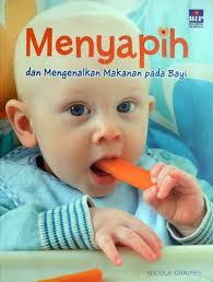 Menyapih dan Mengenalkan Makanan pada Bayi
