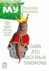 Cara Jitu jadi Raja Singkong : my potential business