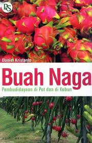 Buah Naga :  Pembudidayaan di Pot dan di Kebun / Daniel Kristanto
