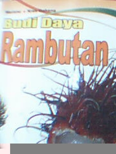 BUDI DAYA RAMBUTAN / Warisno, kres dahana