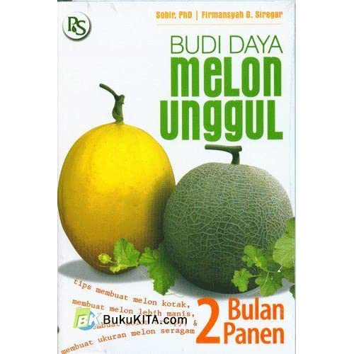 BUDI DAYA MELON UNGGUL
