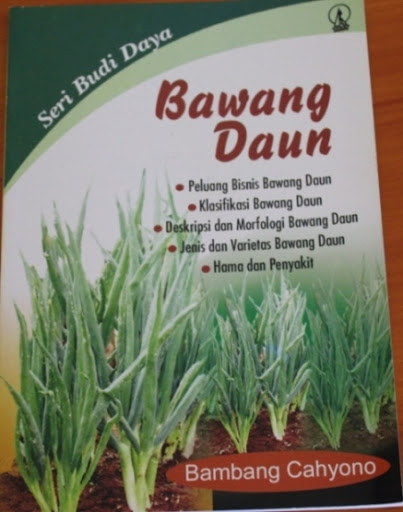Bawang Daun