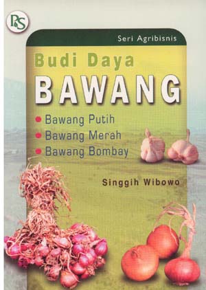 Budi Daya Bawang Putih, Merah, dan Bombay