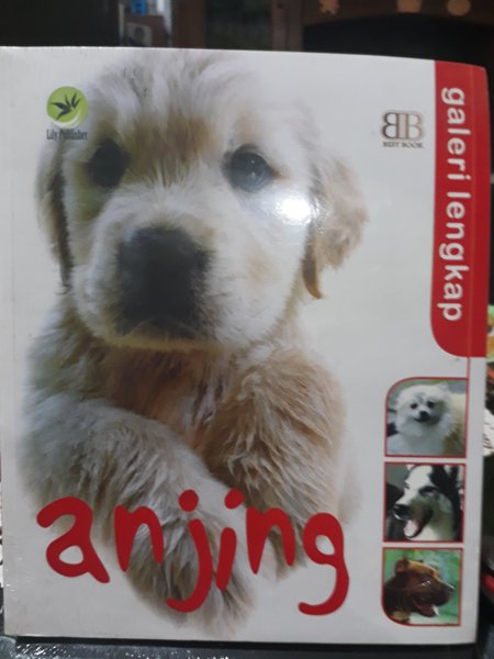 Galeri Lengkap Anjing